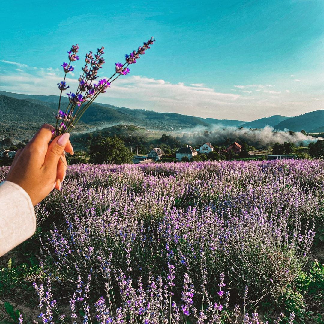 &quot;Де оживають легенди&quot;: найцікавіші локації для мандрівок Закарпаттям